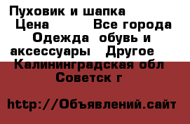 Пуховик и шапка  Adidas  › Цена ­ 100 - Все города Одежда, обувь и аксессуары » Другое   . Калининградская обл.,Советск г.